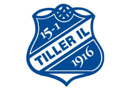 Tiller